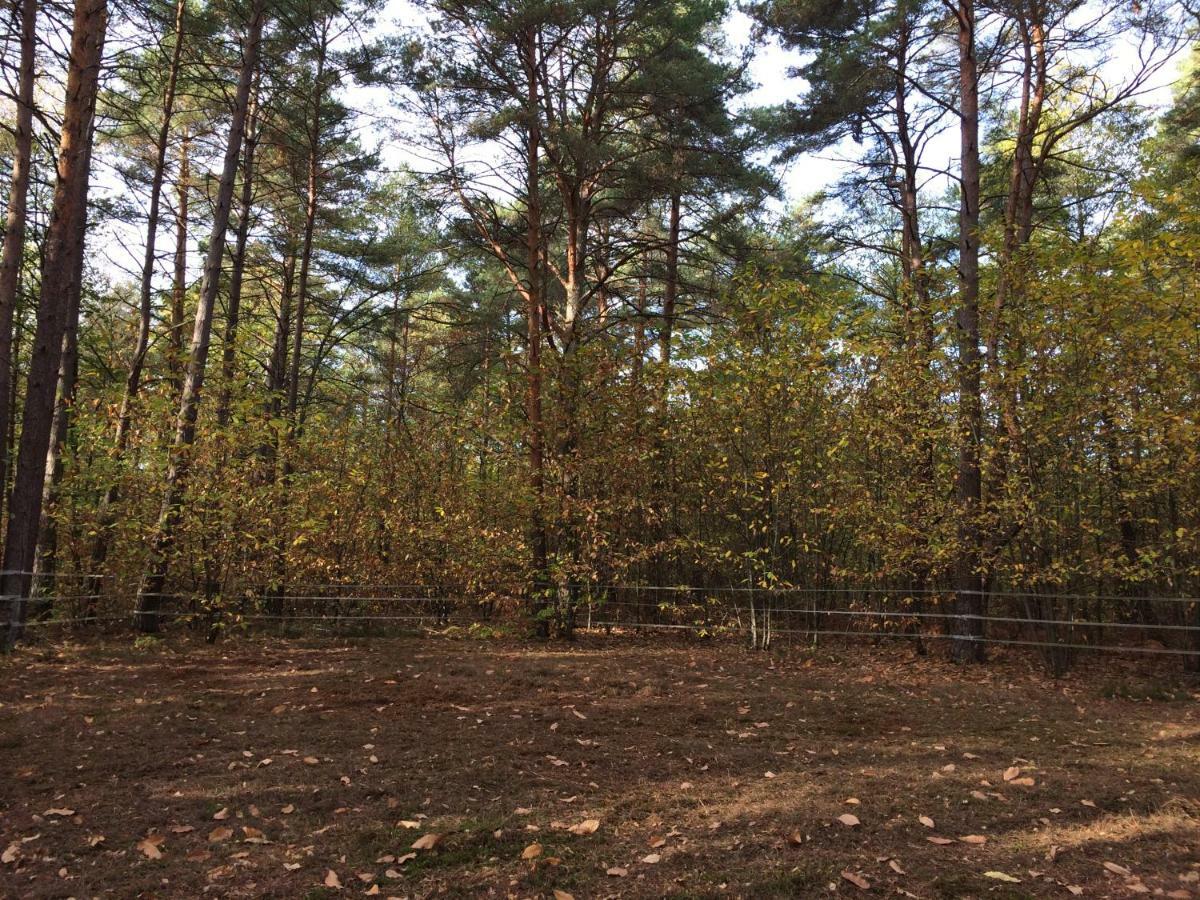 Chambre A La Campagne Chaumont-sur-Tharonne Buitenkant foto